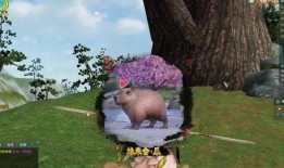 少林吃瓜奇遇,吃瓜群众的神秘探险之旅