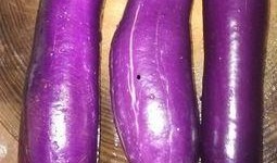 早孕可以吃茄瓜吗,早孕期间适宜食用茄瓜的健康指南