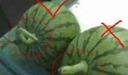 怪丑瓜怎样吃,怪丑瓜的多重美味吃法探索