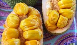 太和情侣吃瓜,甜蜜瞬间引网友热议