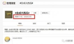 吃瓜盟主简历怎么删除,简历背后的删减与真相