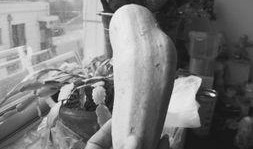 怀孕可以吃茭瓜,茭瓜助力母婴健康