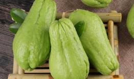 吃佛手瓜后手脱皮,佛手瓜美食背后的手部脱皮之谜