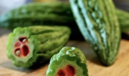 diy圈吃瓜,那些你不知道的“吃瓜”幕后故事