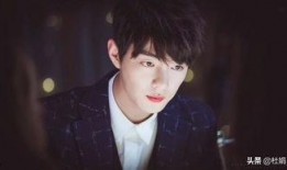 吃瓜江苏卫视,揭秘热门综艺背后的故事