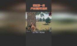 旬阳吃瓜事件始末视频,一场网络热议背后的真相揭秘