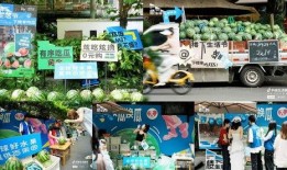 玉林吃瓜小区,揭秘邻里间的欢乐与争议