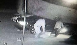 吃瓜惠州,探寻当地特色美食与趣事