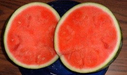 吃瓜没吃到瓜,意外体验“没吃到瓜”的奇妙之旅