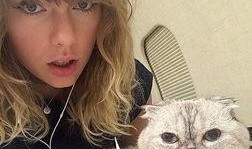 泰勒斯威夫特吃瓜,揭秘娱乐圈的甜蜜与苦涩