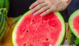 常州大学吃瓜,揭秘校园热点事件背后的故事