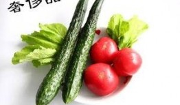 吃瓜直播培训材料,揭秘网红经济下的新型娱乐培训之路