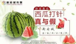 吃瓜直播培训材料,揭秘网红经济下的新型娱乐培训之路