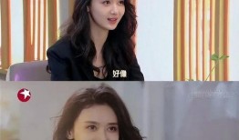 魏嘉吃瓜,揭秘娱乐圈幕后故事