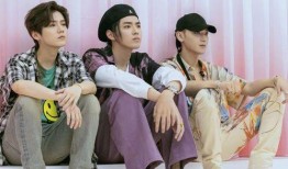 吃瓜江苏卫视,揭秘热门综艺背后的故事