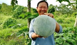 一线吃瓜和后线吃瓜,揭秘网络舆论场的双面世界