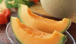 瓜州免费吃瓜的地方,畅享清凉夏日之旅