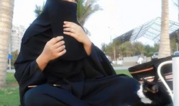 娱乐吃瓜君mv,揭秘娱乐圈背后的秘密与笑料