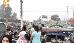 人山人海吃瓜,揭秘娱乐圈最新热点事件