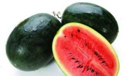 广西1998吃瓜,那一年，瓜田里的故事与变迁