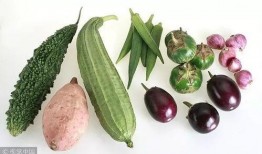 鹤壁科专吃瓜,揭秘吃瓜背后的科技奥秘