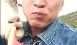 吃瓜的涛哥,吃瓜涛哥带你领略娱乐圈风云变幻