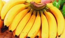 久操香蕉吃瓜视频,揭秘网络短视频的趣味与争议