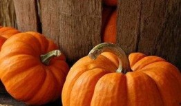 吃瓜反酸呕吐,揭秘夏季饮食健康陷阱