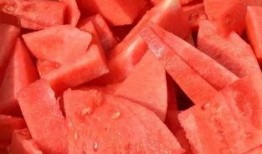 吃瓜惠州,探寻当地特色美食与趣事