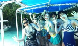 娱乐吃瓜君mv,揭秘娱乐圈背后的秘密与笑料