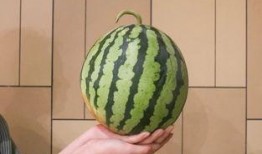 吃瓜衢州,探寻这座城市的美食与故事