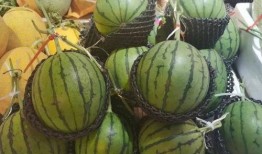 中汾吃瓜主角,揭秘幕后真相，带你走进事件核心