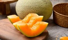 哈密瓜吃死人事件,揭秘一起致命食源性疾病事件